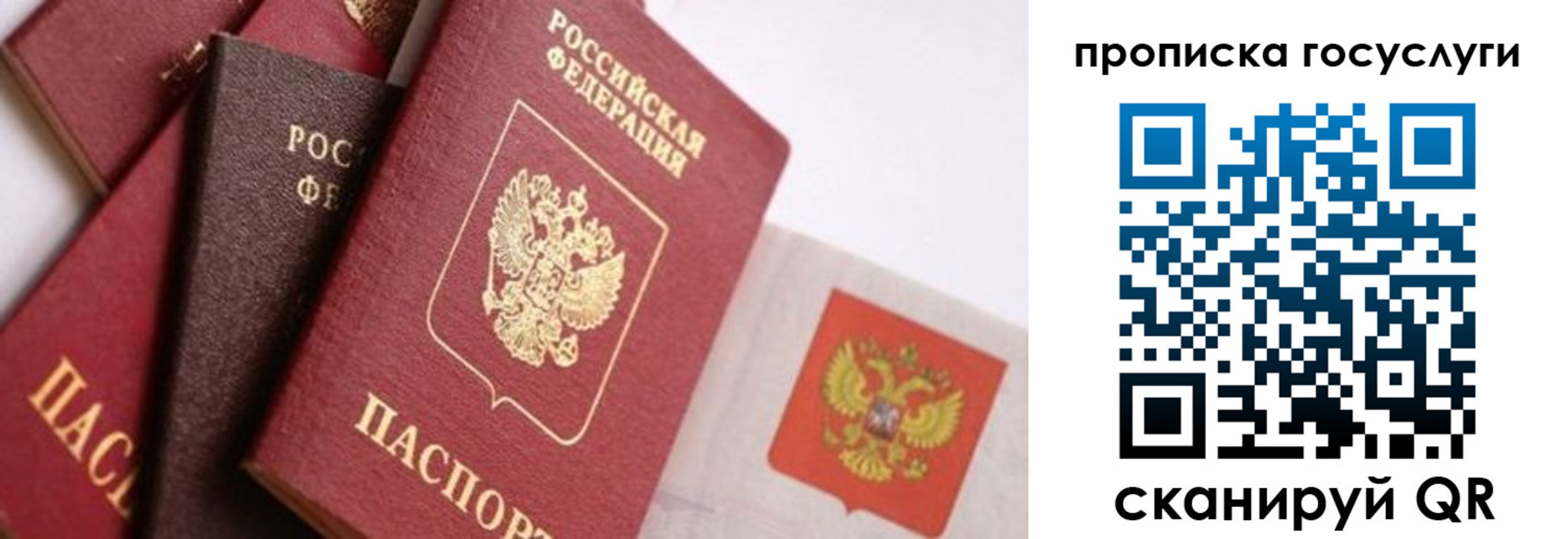 прописка законно в Калмыкии